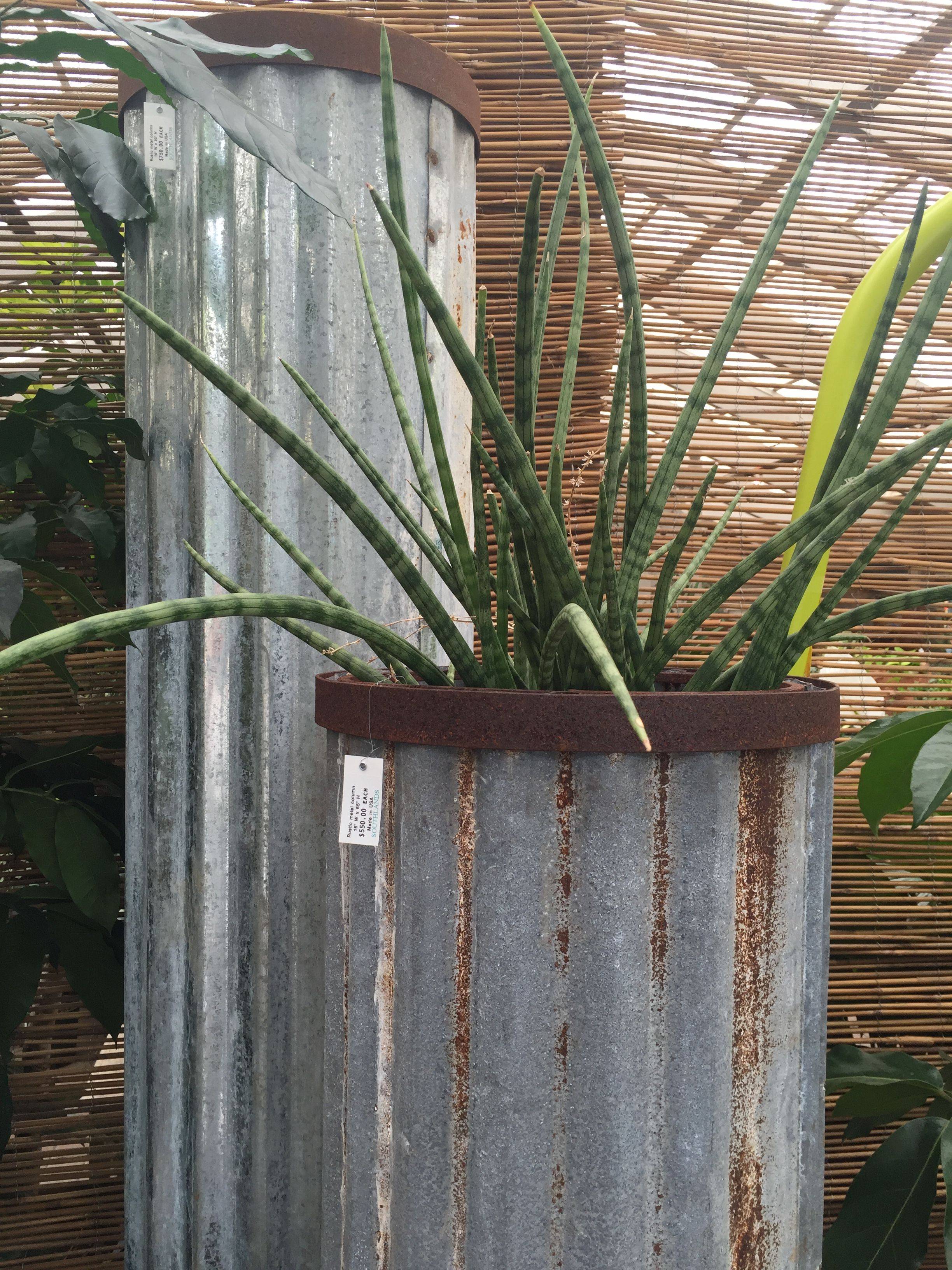 Image Description Planter Boxes