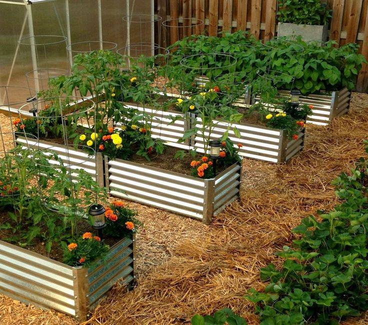 Reclaimed Planter Boxes