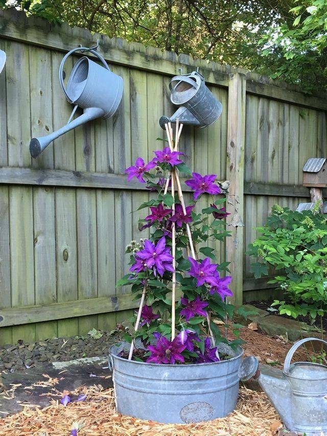 Stunning Watering Cans Decor Ideas