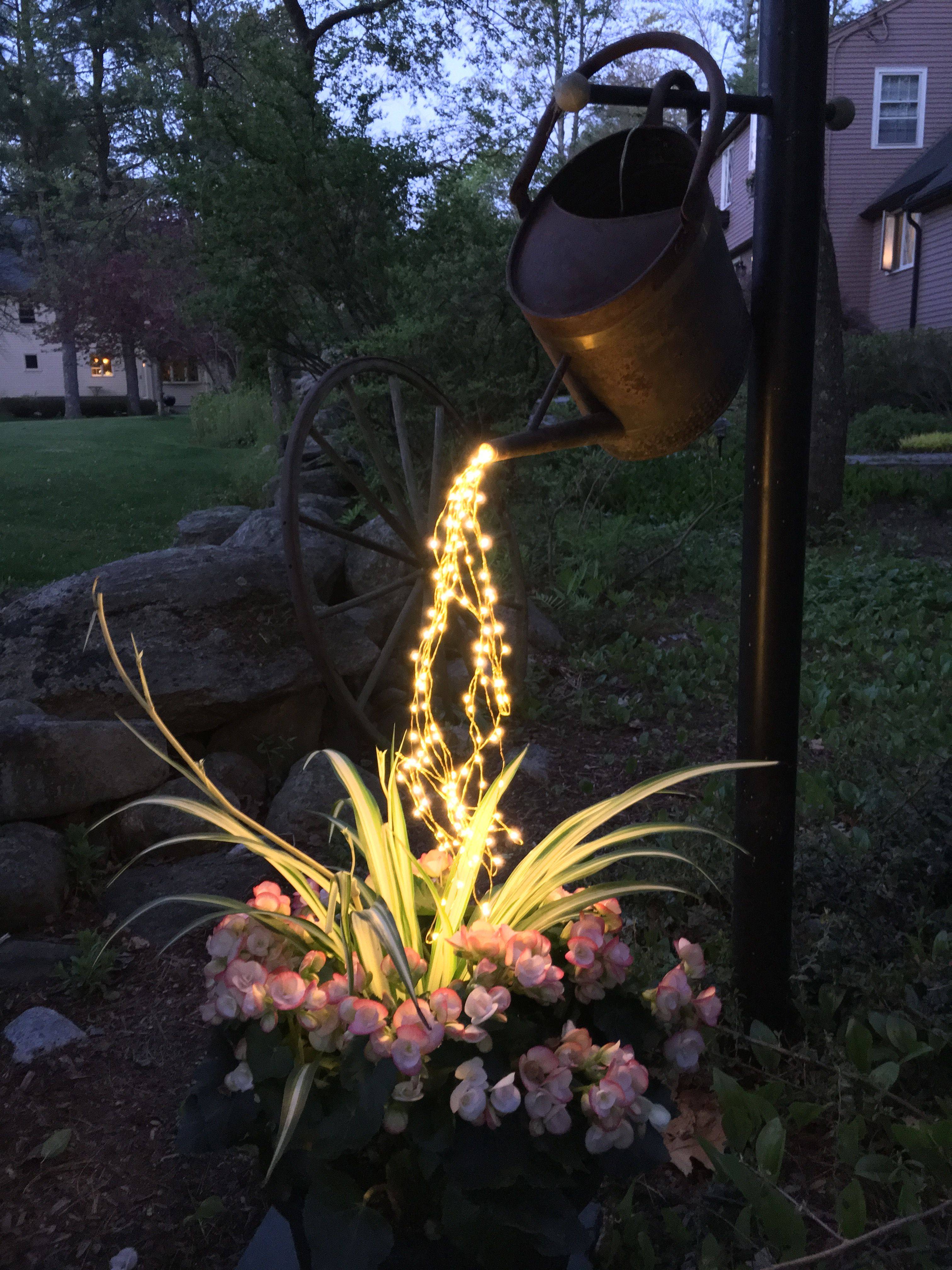 Lighted Watering