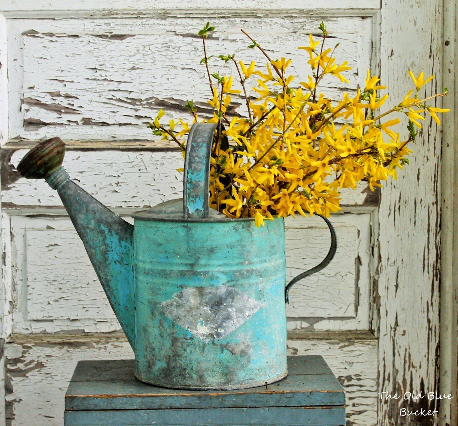 No Longer Able To Hold Water This Wash Tub And Watering Can Are Re