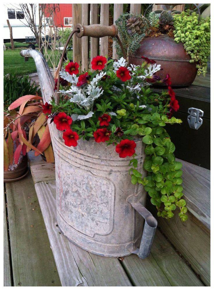 Watering Cans Container Gardening