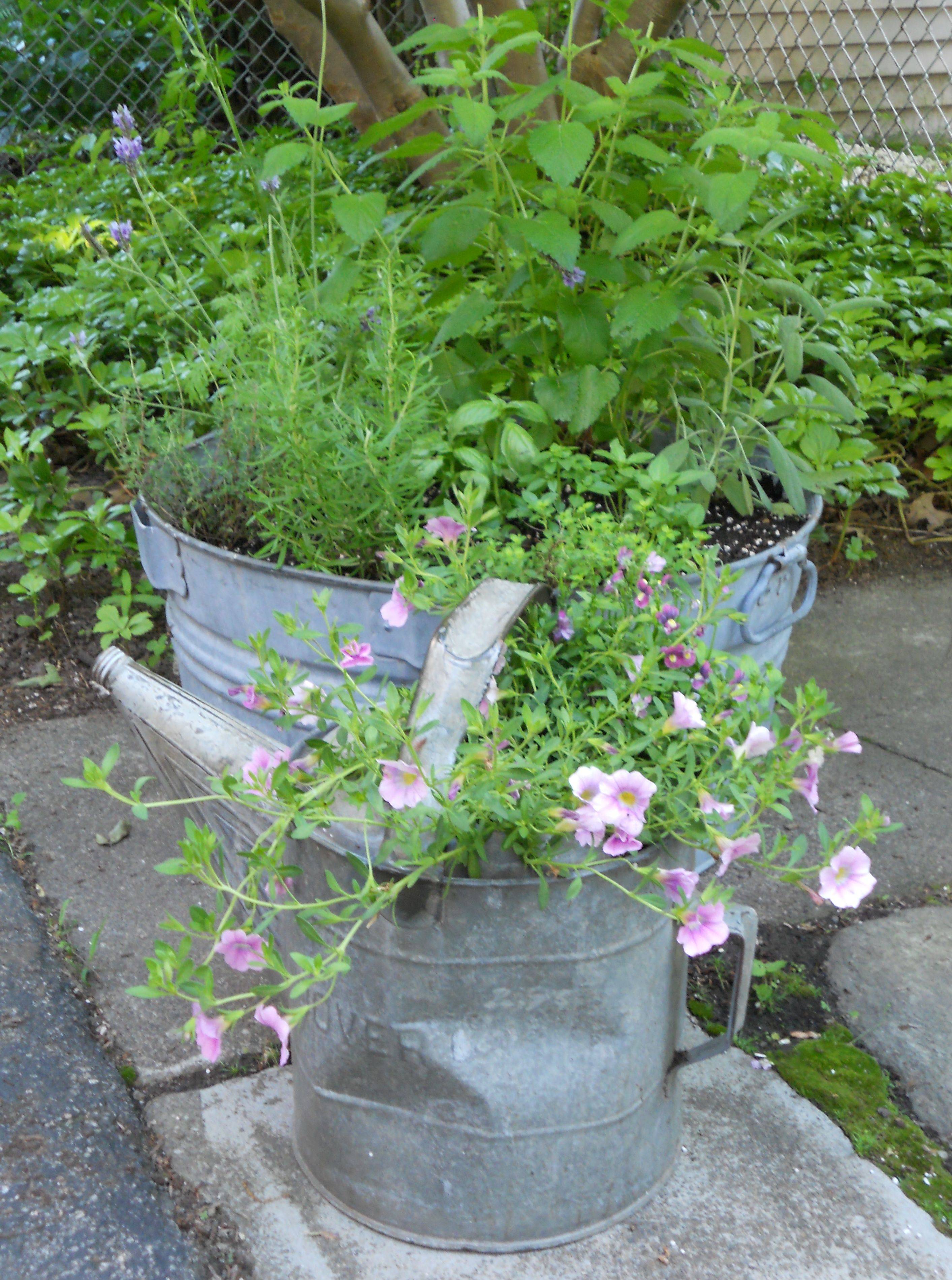 Stunning Watering Cans Decor Ideas