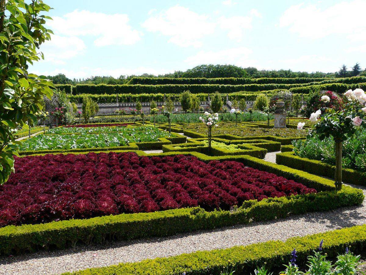 Chteau De Villandry Gardens