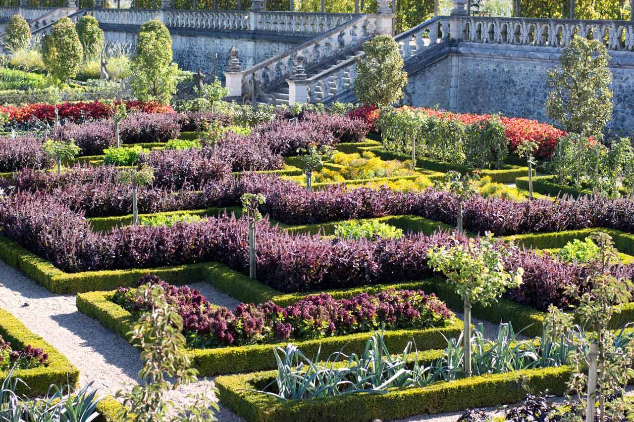 Chateau Villandry Love Gardens Parterre Garden