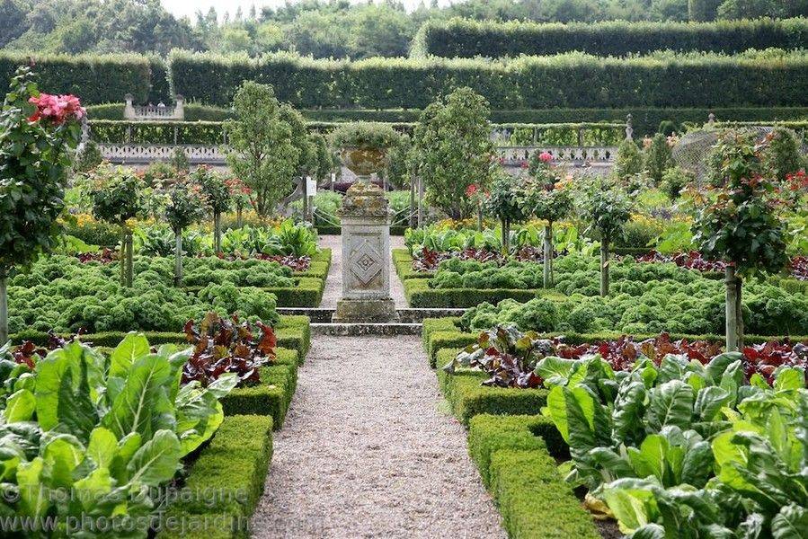 The Low Maintenance Gardens