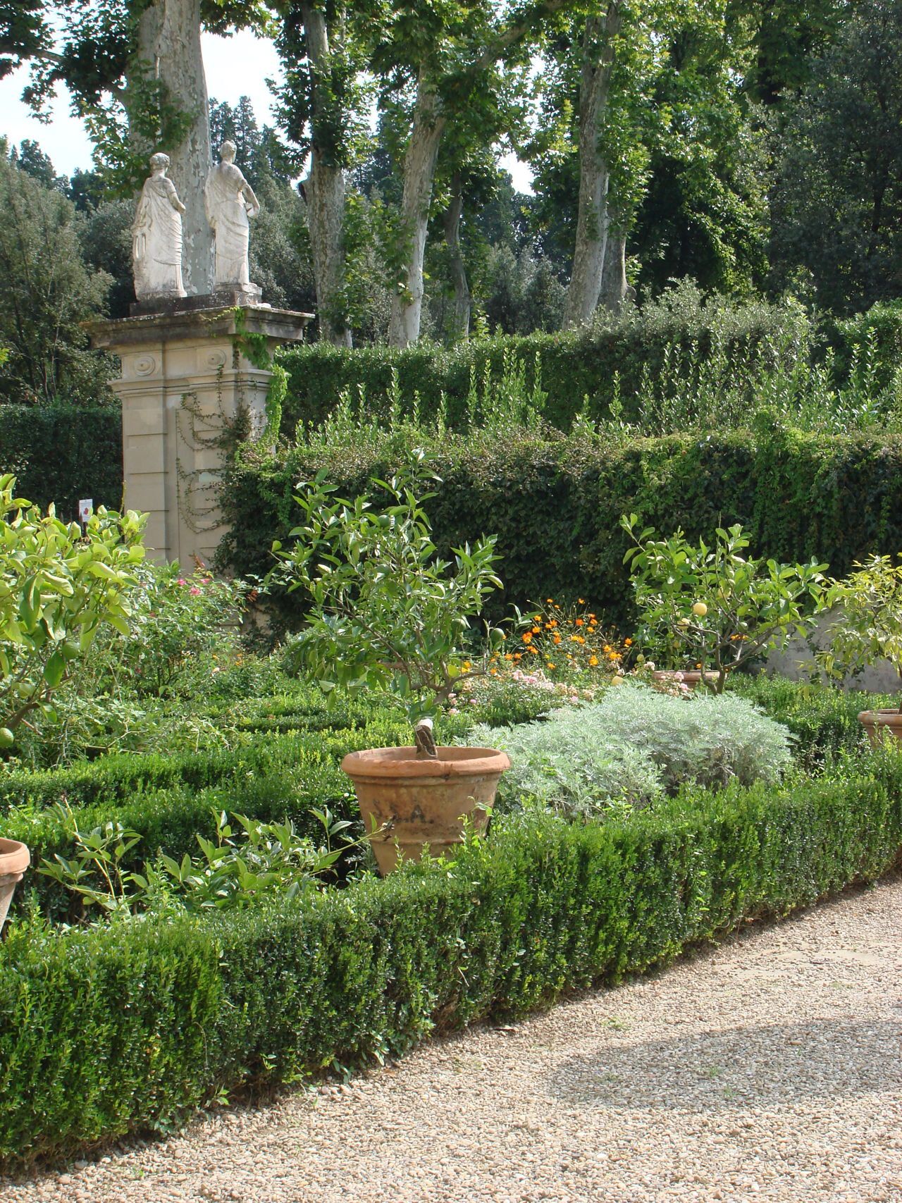 Boboli Rose Garden Florence