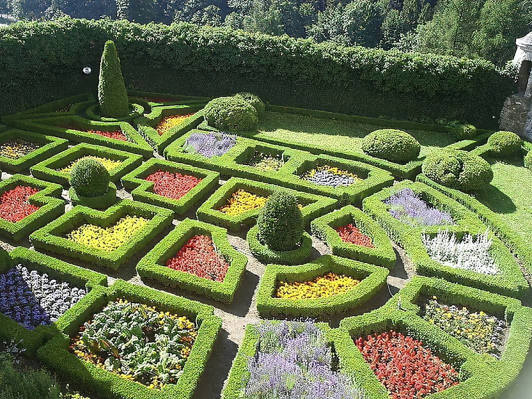 An Attractive Kitchen Garden
