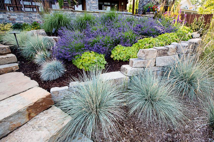 Decorative Stone Garden Ideas