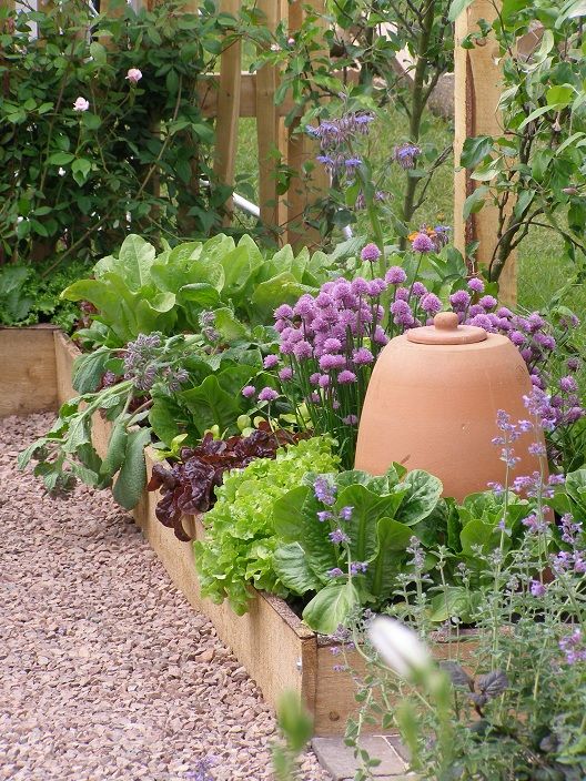 Decorative Vegetable Garden Ideas Stylish Green