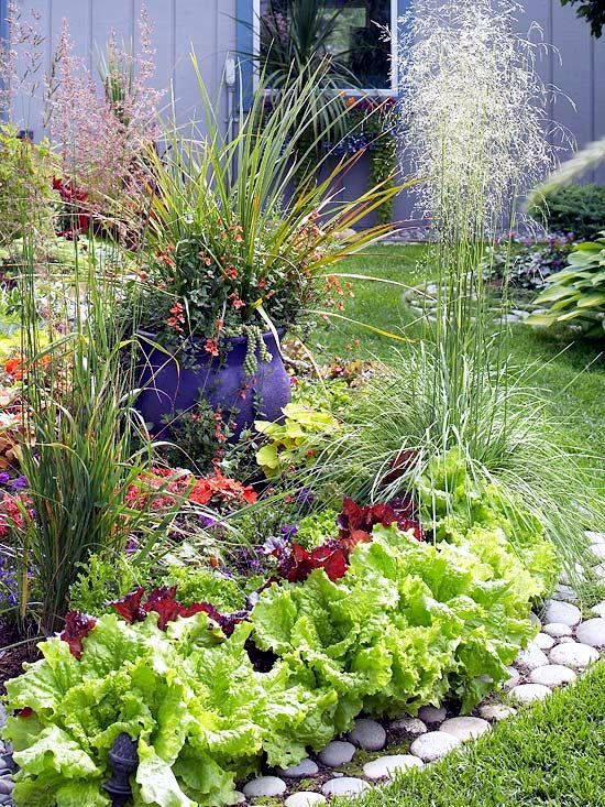 Ornamental Vegetable Gardens