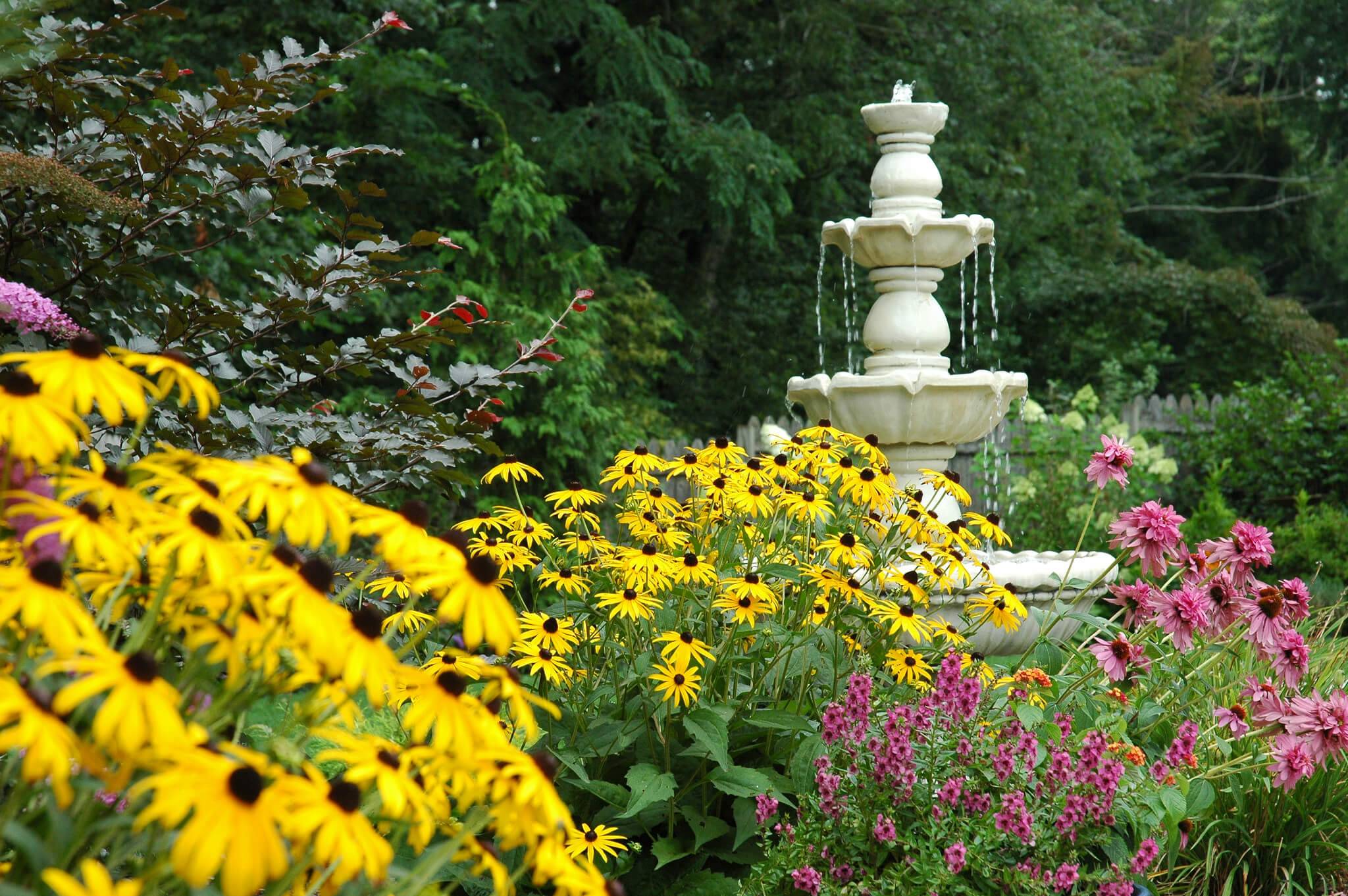 Most Popular Ornamental Plants Ideas
