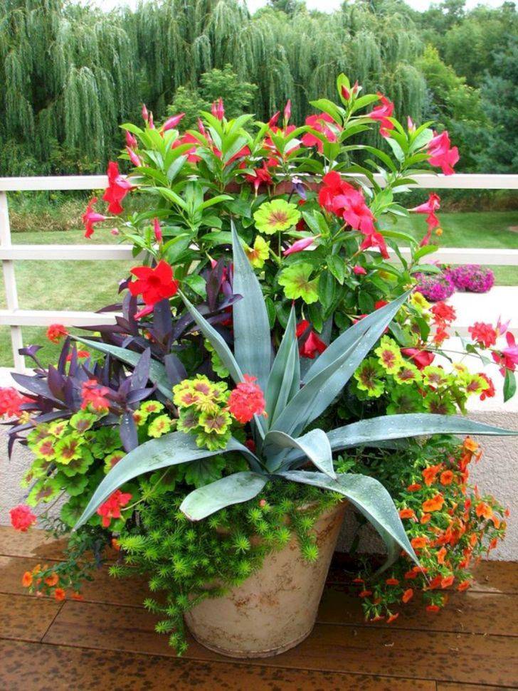 Fall Planters