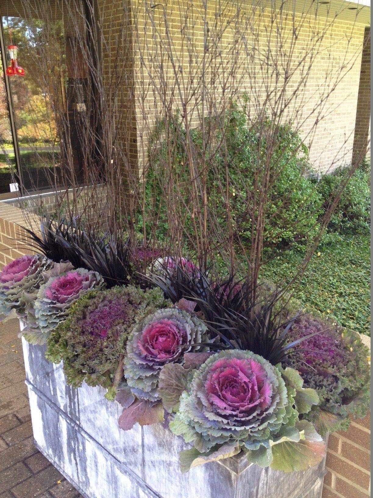 Container Garden Tips Kinds