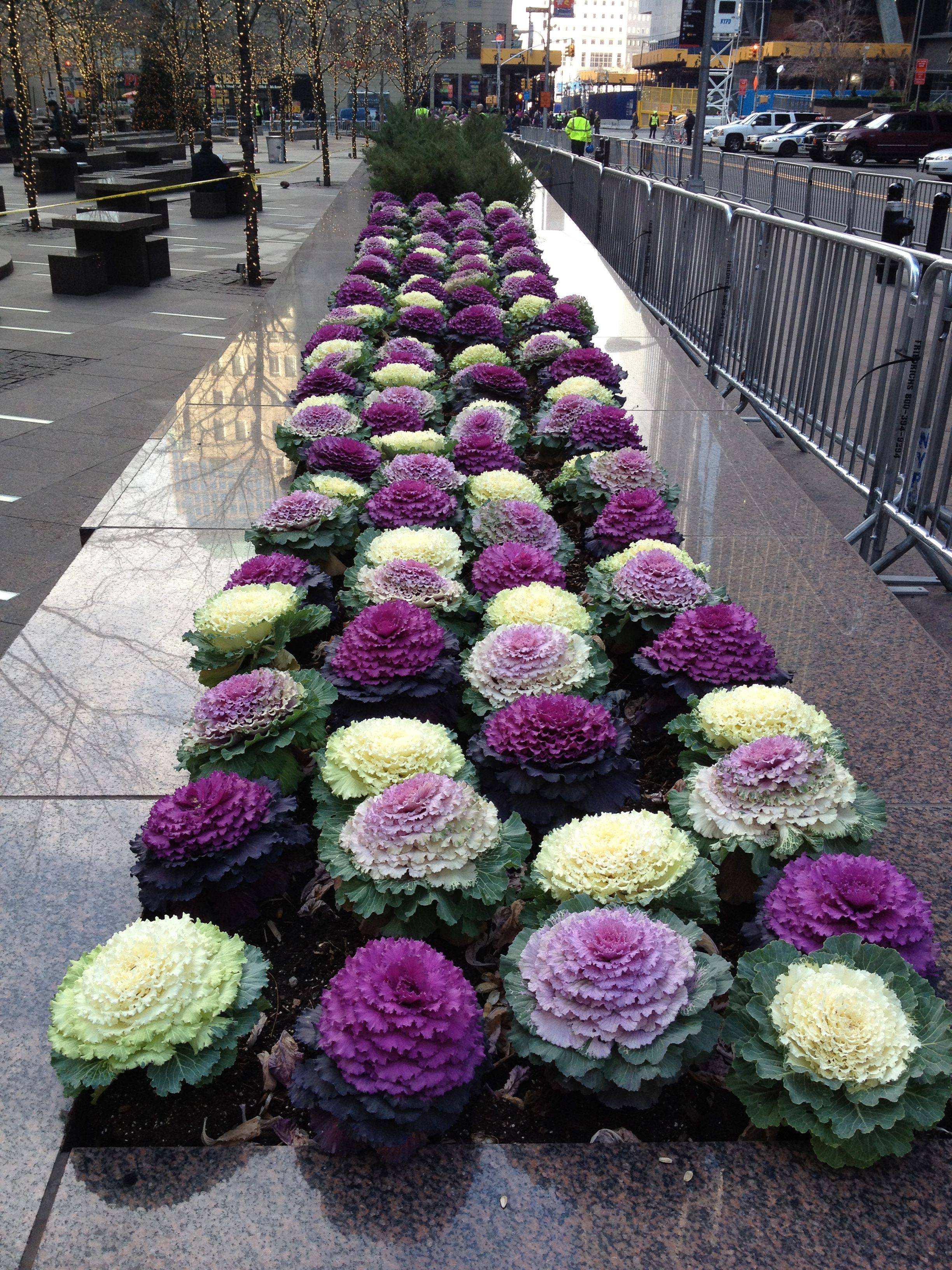 Modular Planter System Ideas