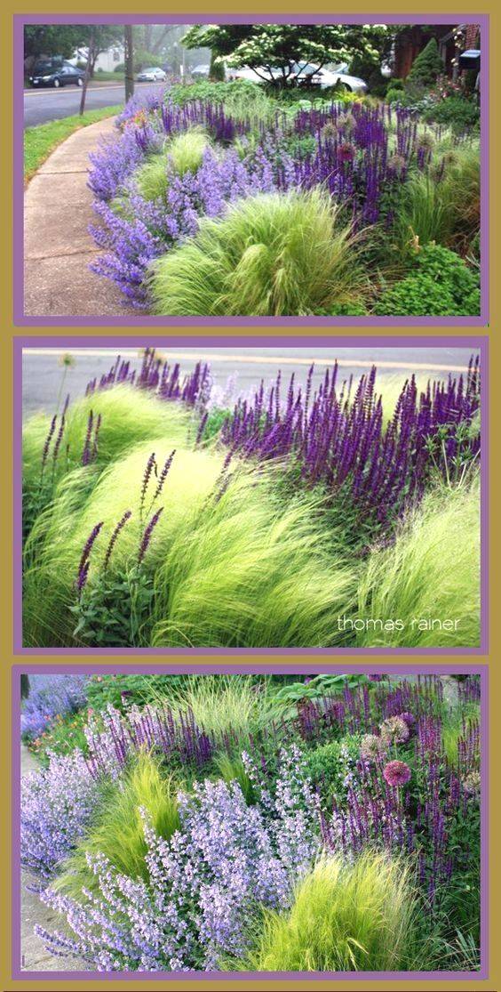 Rock Garden Ideas