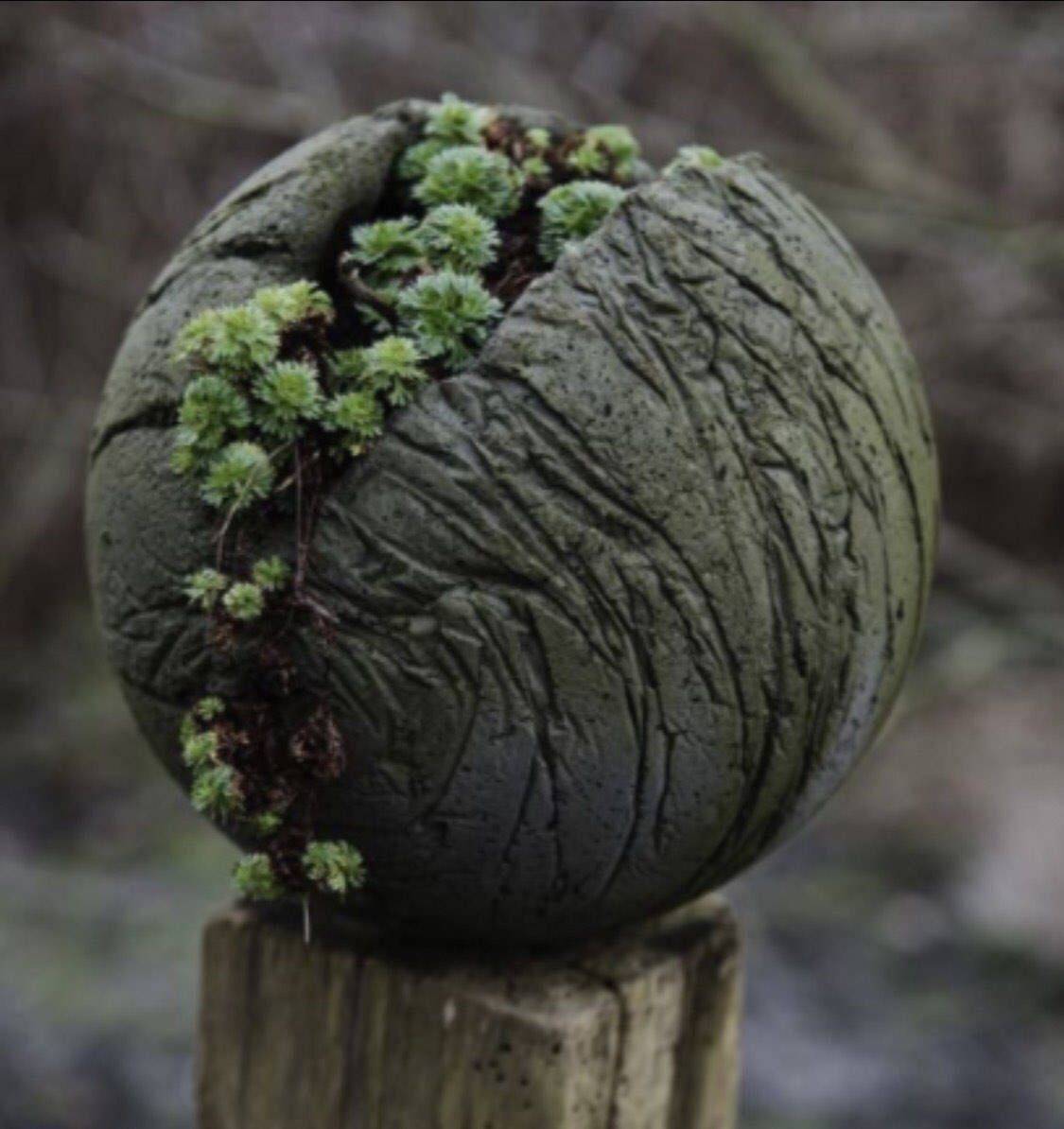 Decorex Garden Sphere