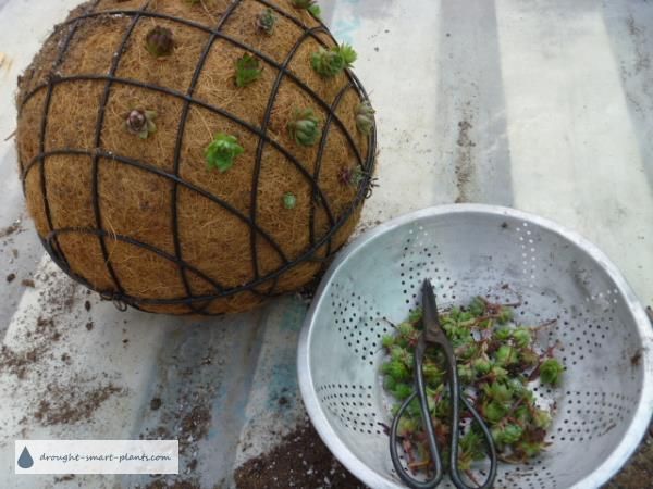 Wire Sphere Solar Garden Stake Gardenerscom Solar Light Crafts