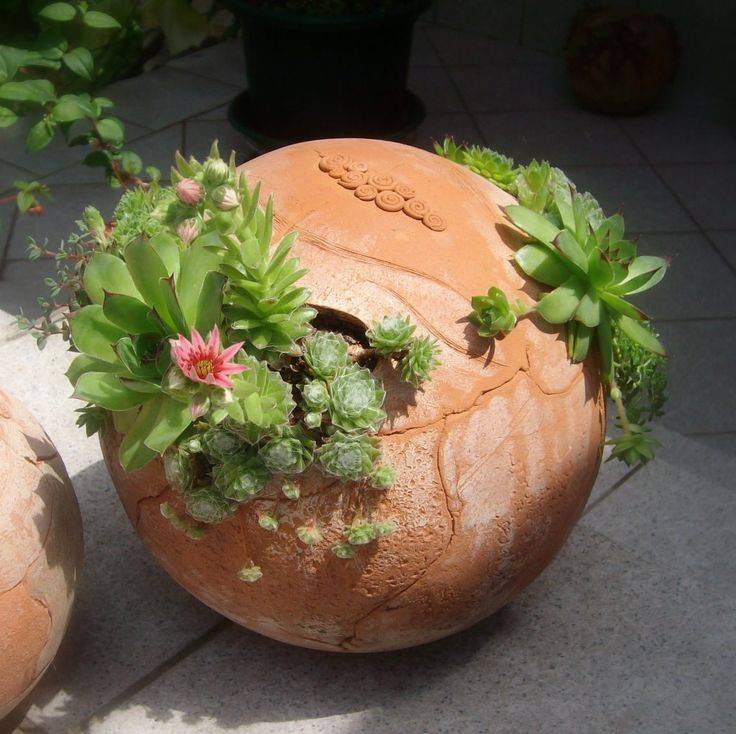 Creative Mini Succulent Garden