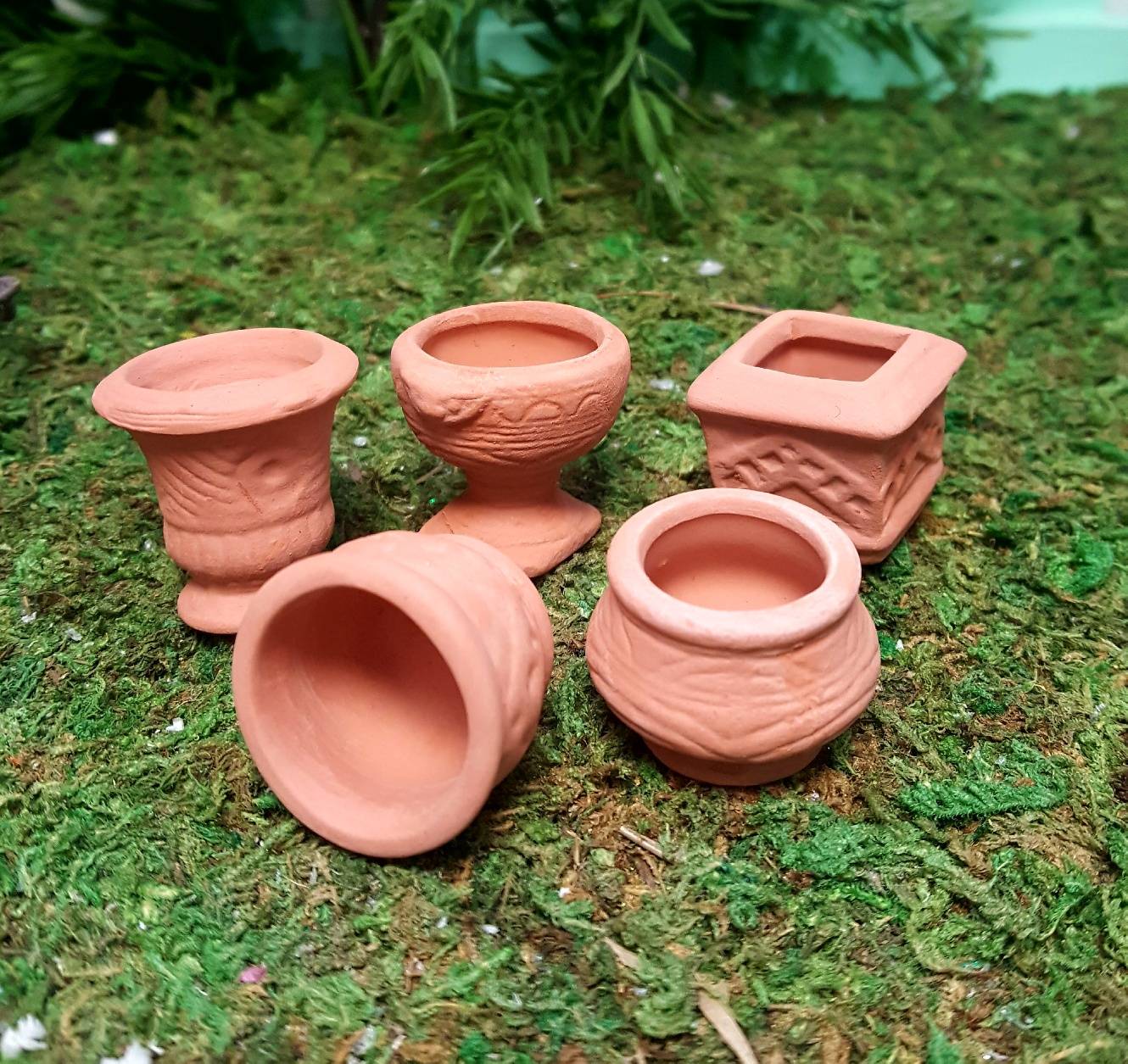 Succulent Container Pot Clay