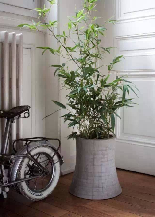 Concrete Planter Ideas