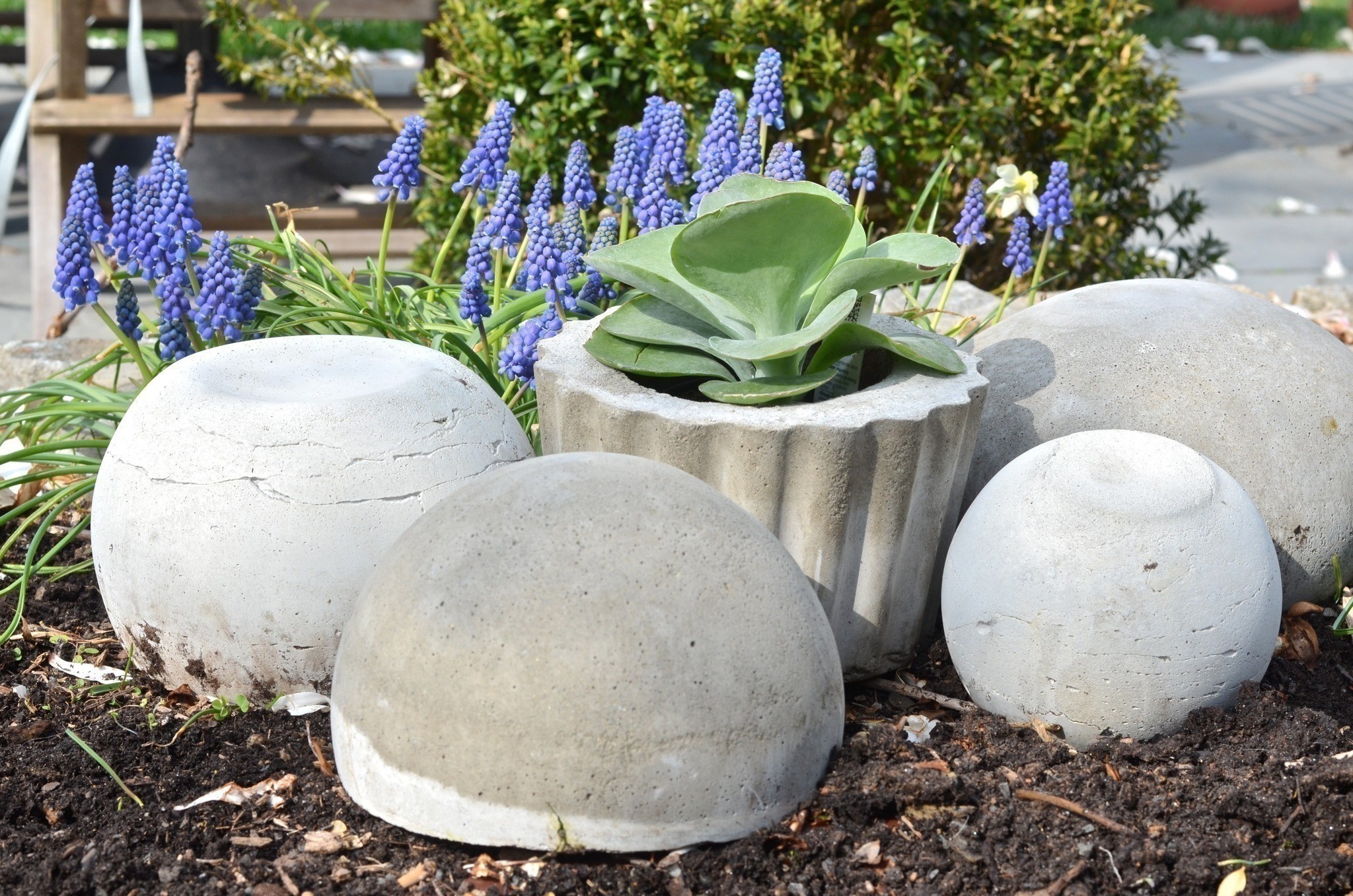 Concrete Cement Diy Projects Garden Crafts