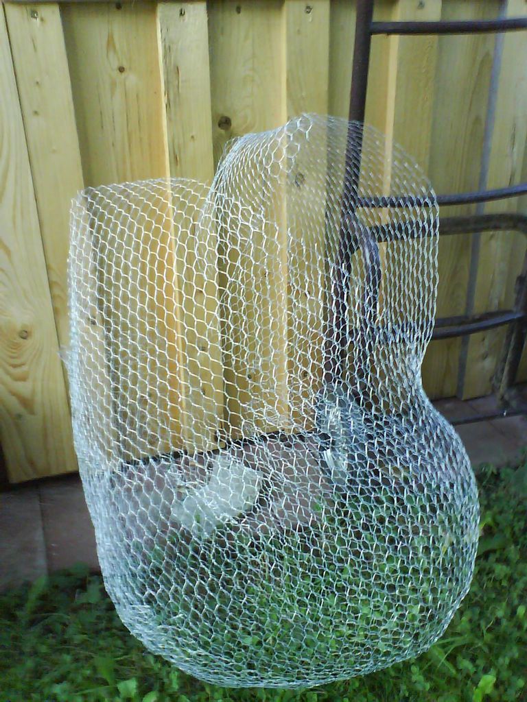 Gardening Ideas