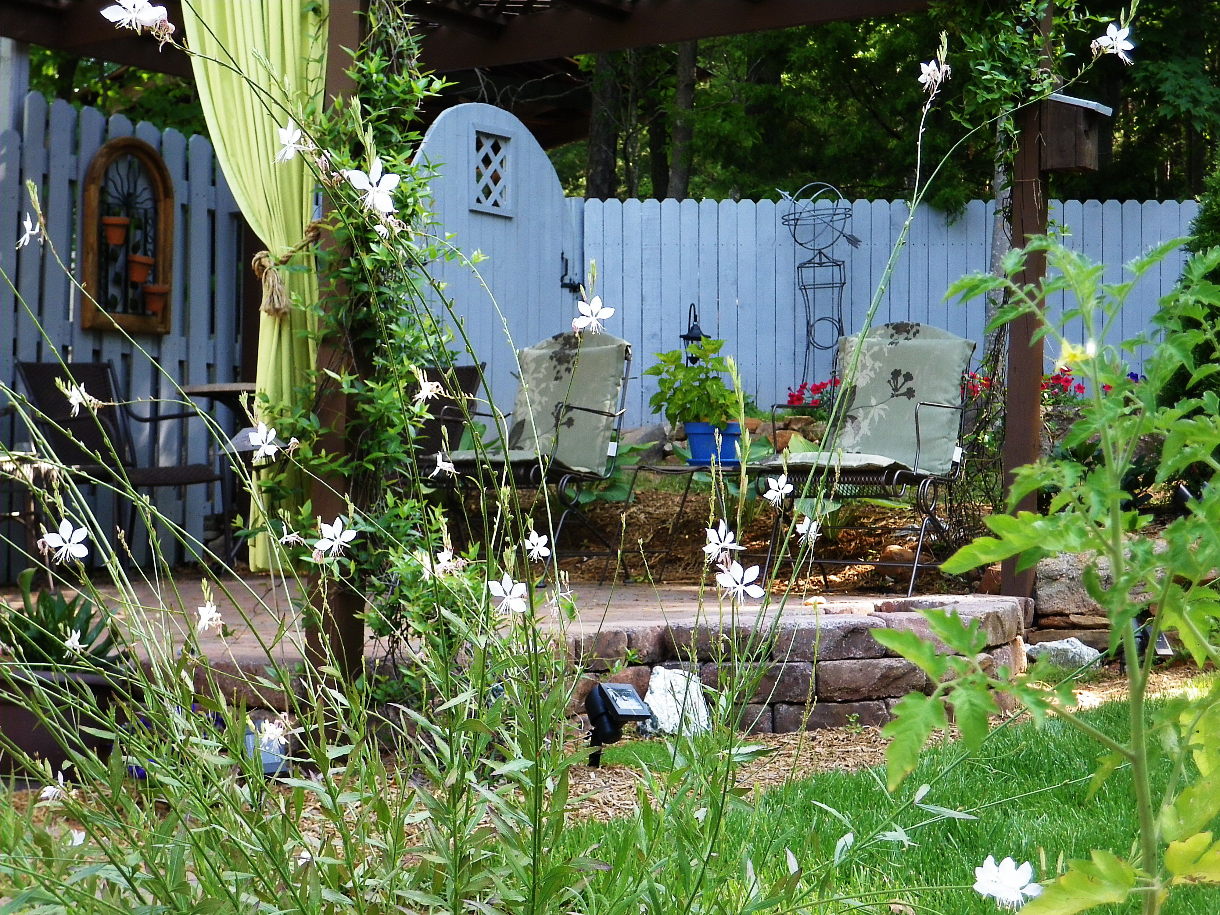 Zara Napier Gap Gardens