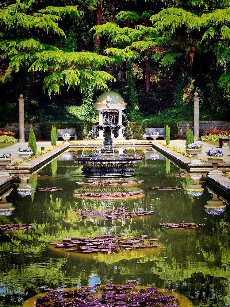 Pinterest Beautiful Gardens