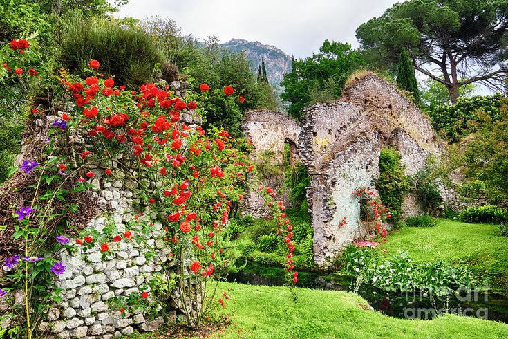 Gardening Landscaping Ancient Ruins
