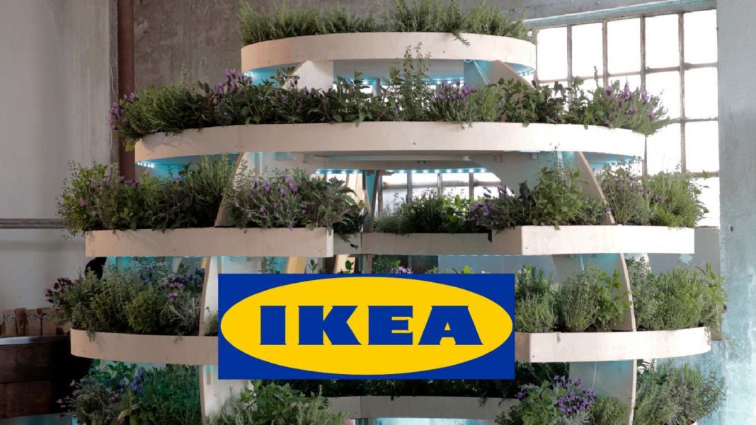A Sustainable Garden Prettyideas