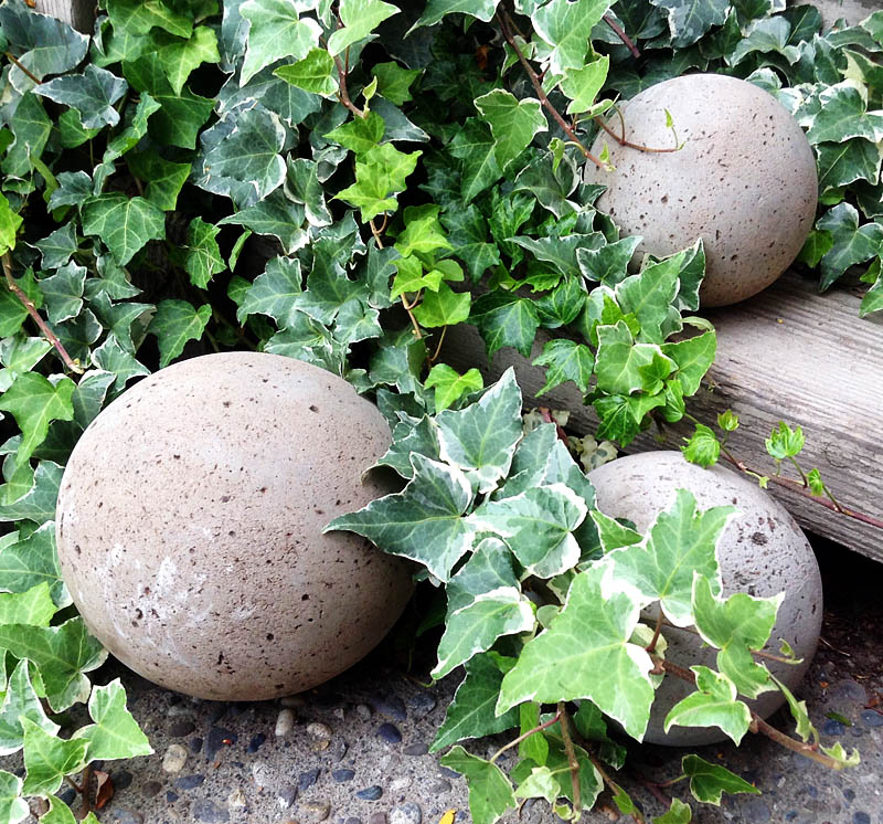 Concrete Outdoors