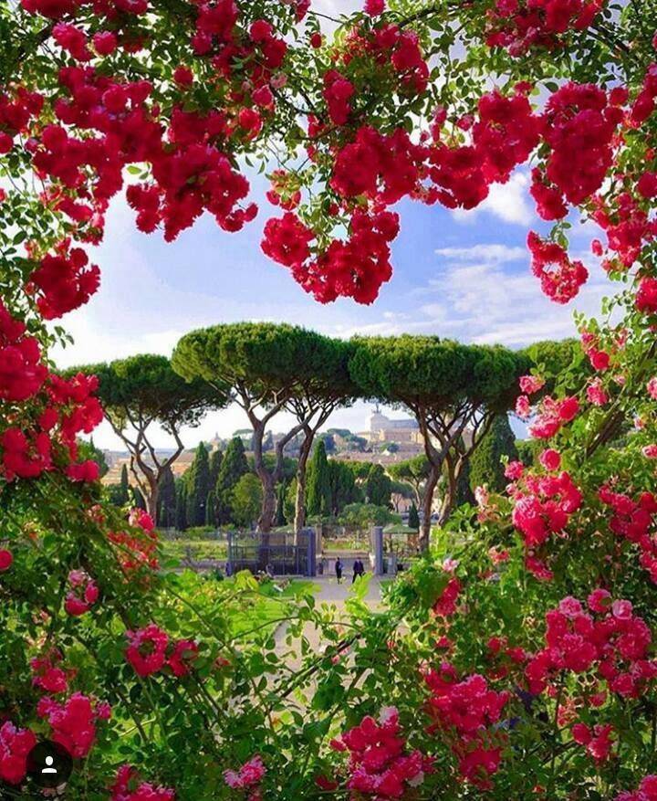 Pinterest Gardens