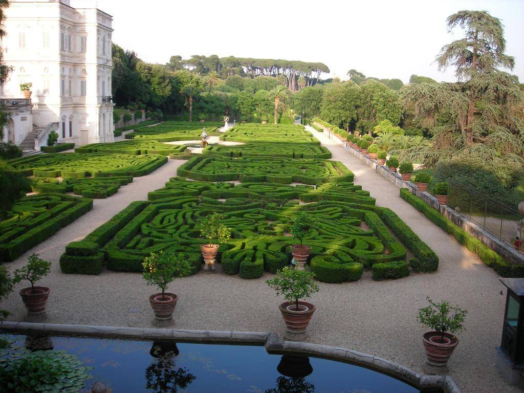 Stunning Topiary Trees