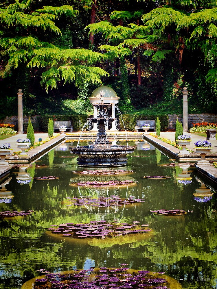 Walker Landscaping Rome Ga White Landscaping Ideas