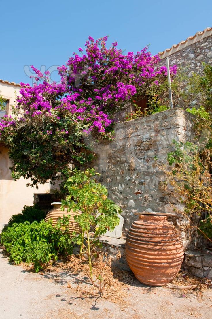 Best Greek Gardens Images