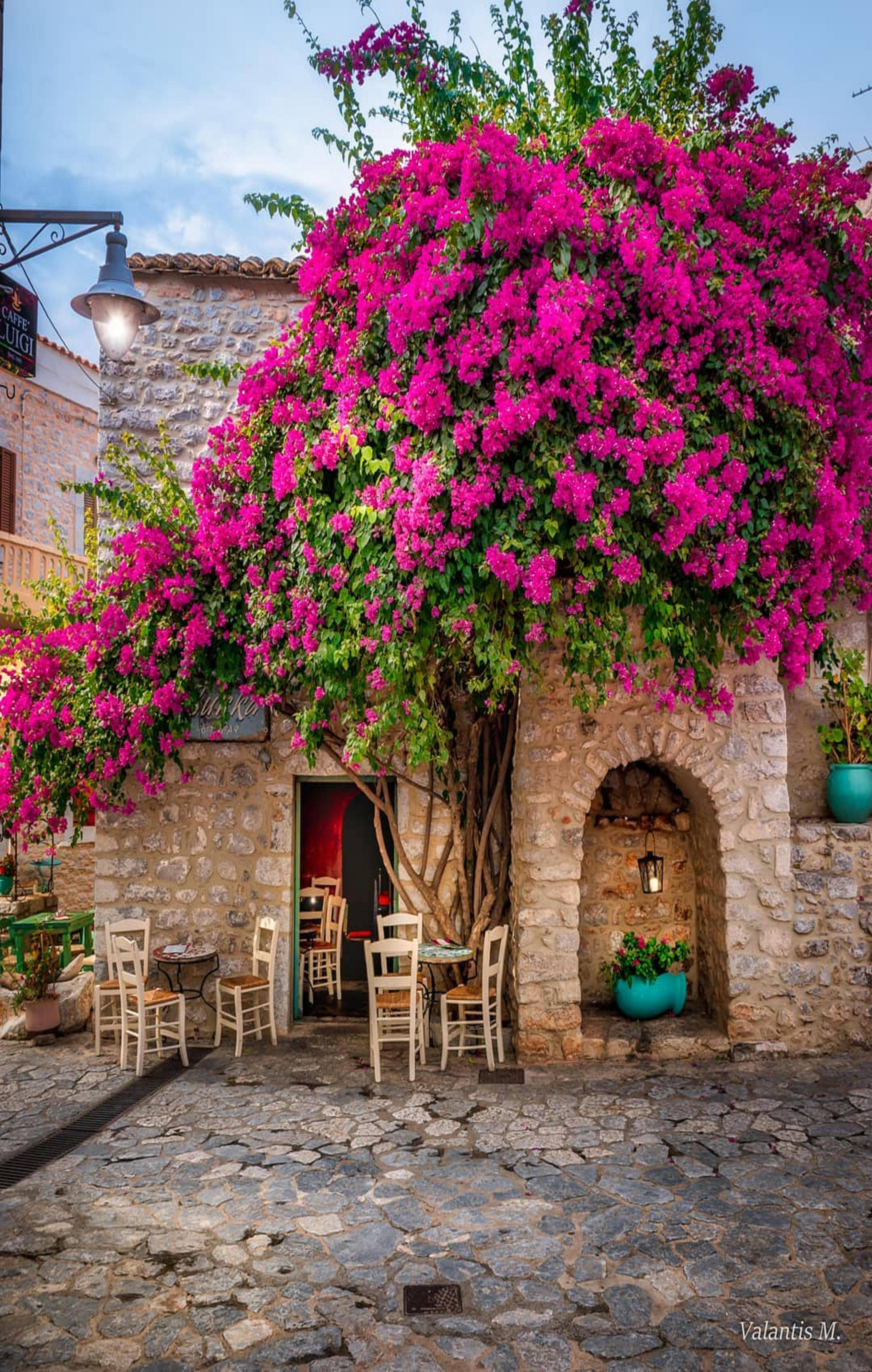 Greek Gardens