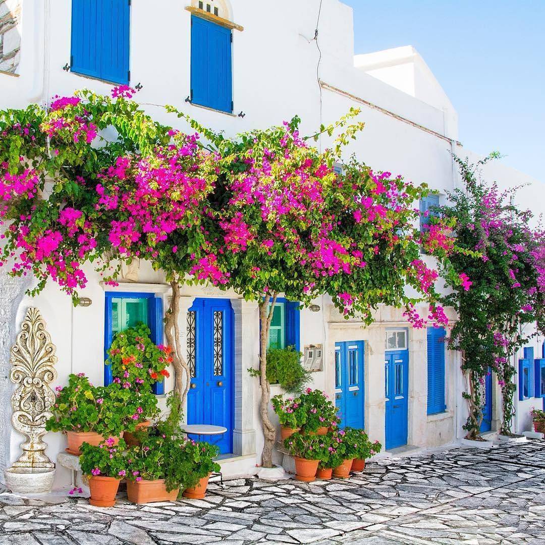 Colorful Garden