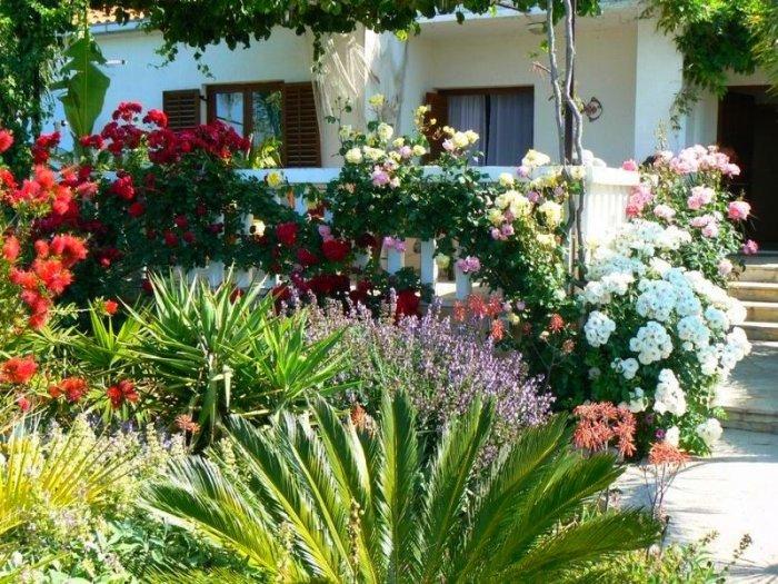 Fresh And Inspiring Greek Garden Ideas Garden Patch