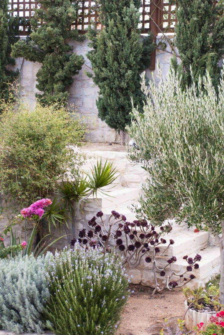 Greek Gardens
