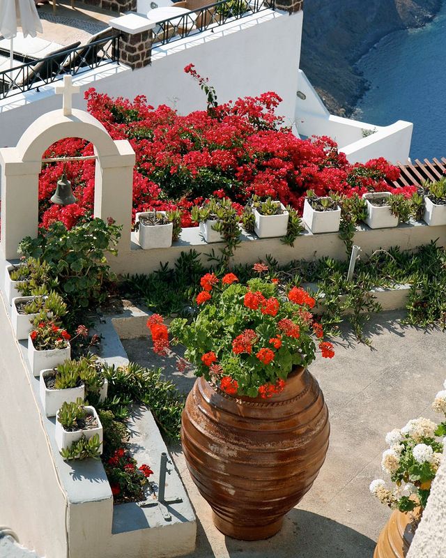 Ancient Greek Courtyard Myths Backdrop