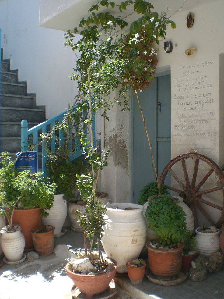 22 Greekstyle Garden Ideas You Should Look SharonSable