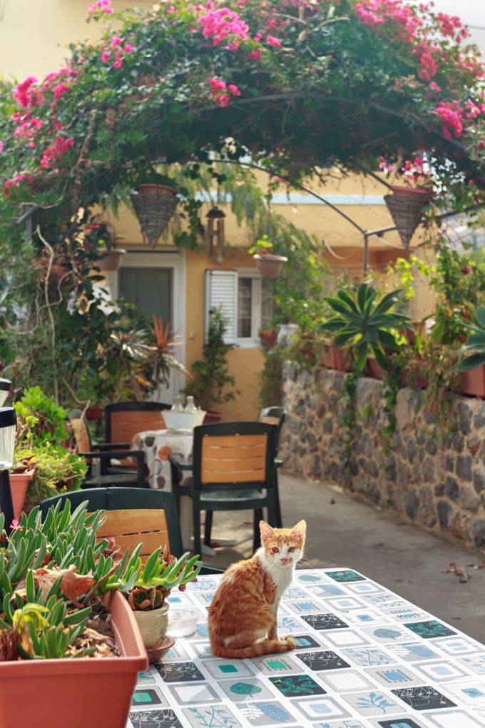 Terrace Garden Design