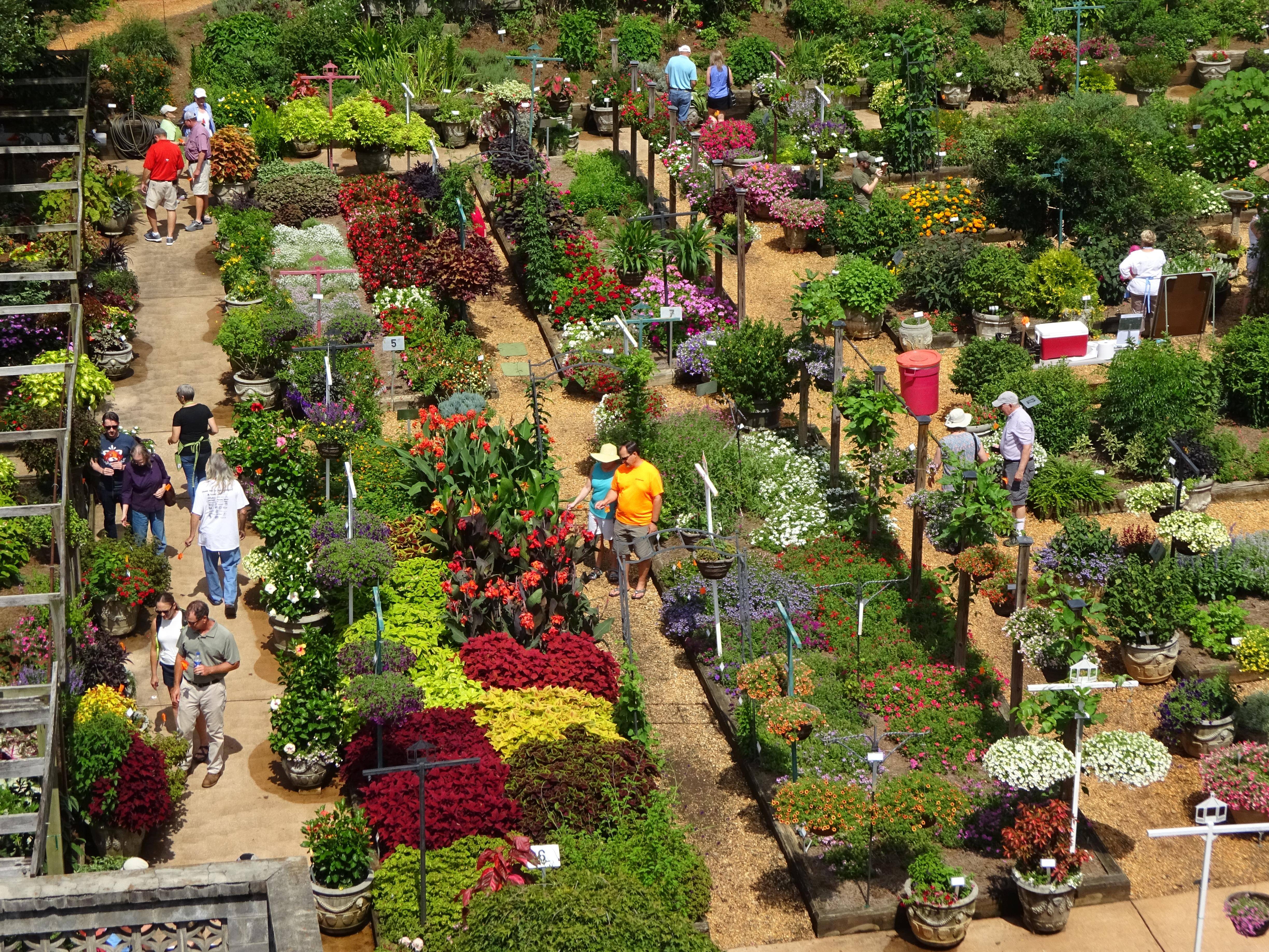 The Childrens Garden