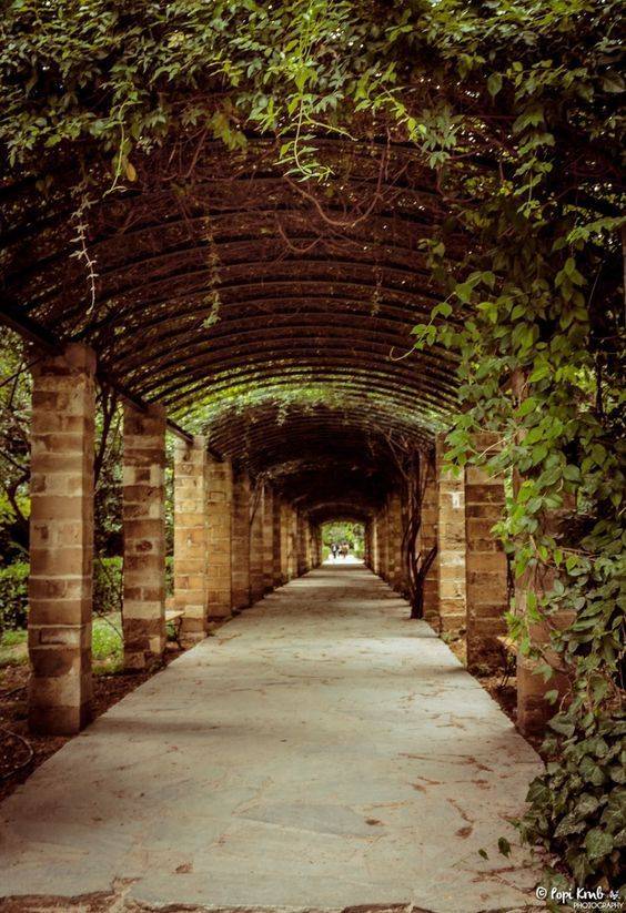 Uga Horticulture Trial Gardens Gardens