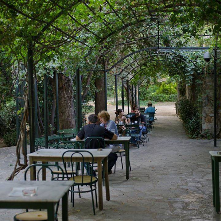 Uga Horticulture Trial Gardens Gardens
