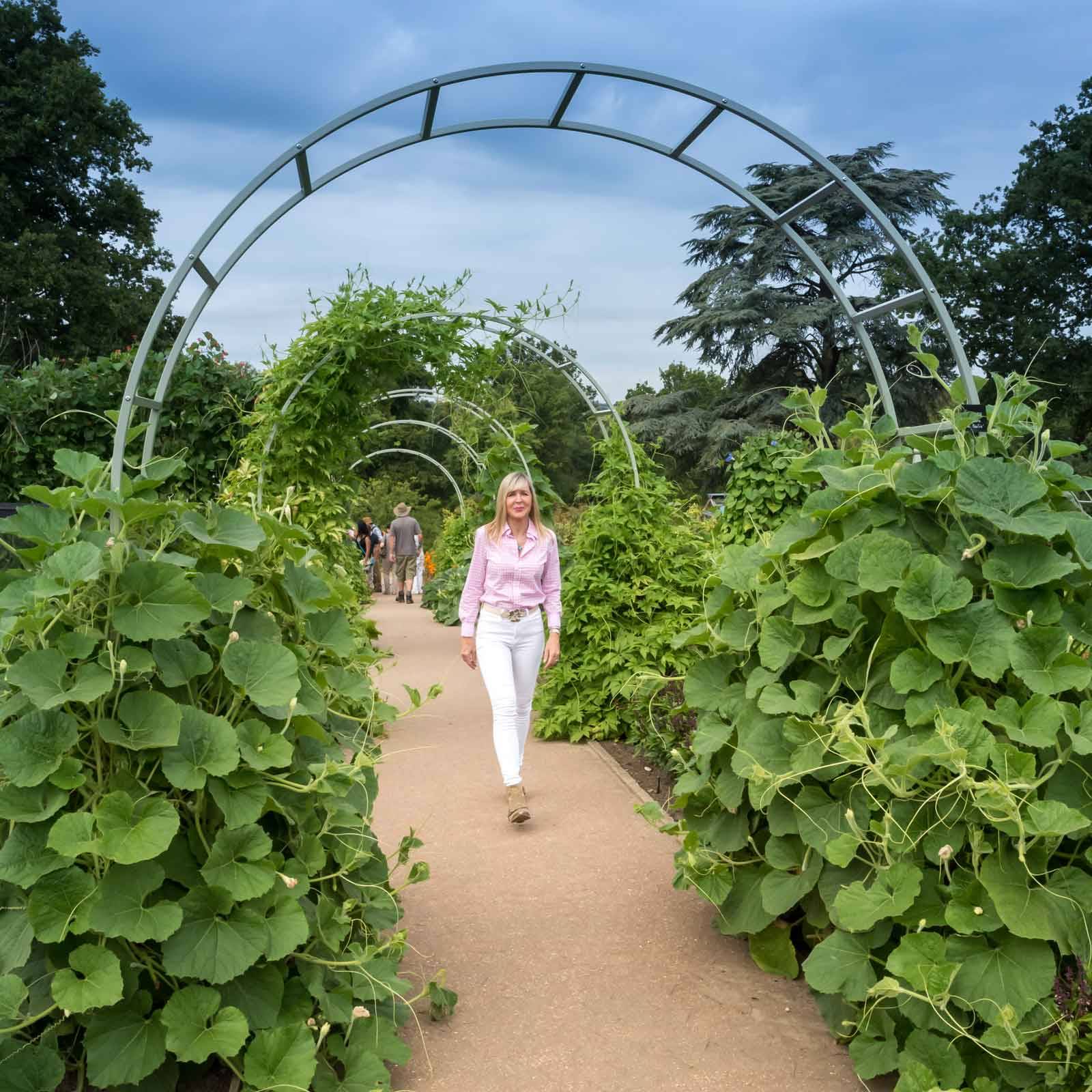 Roman Garden Arch Harrod Horticultural