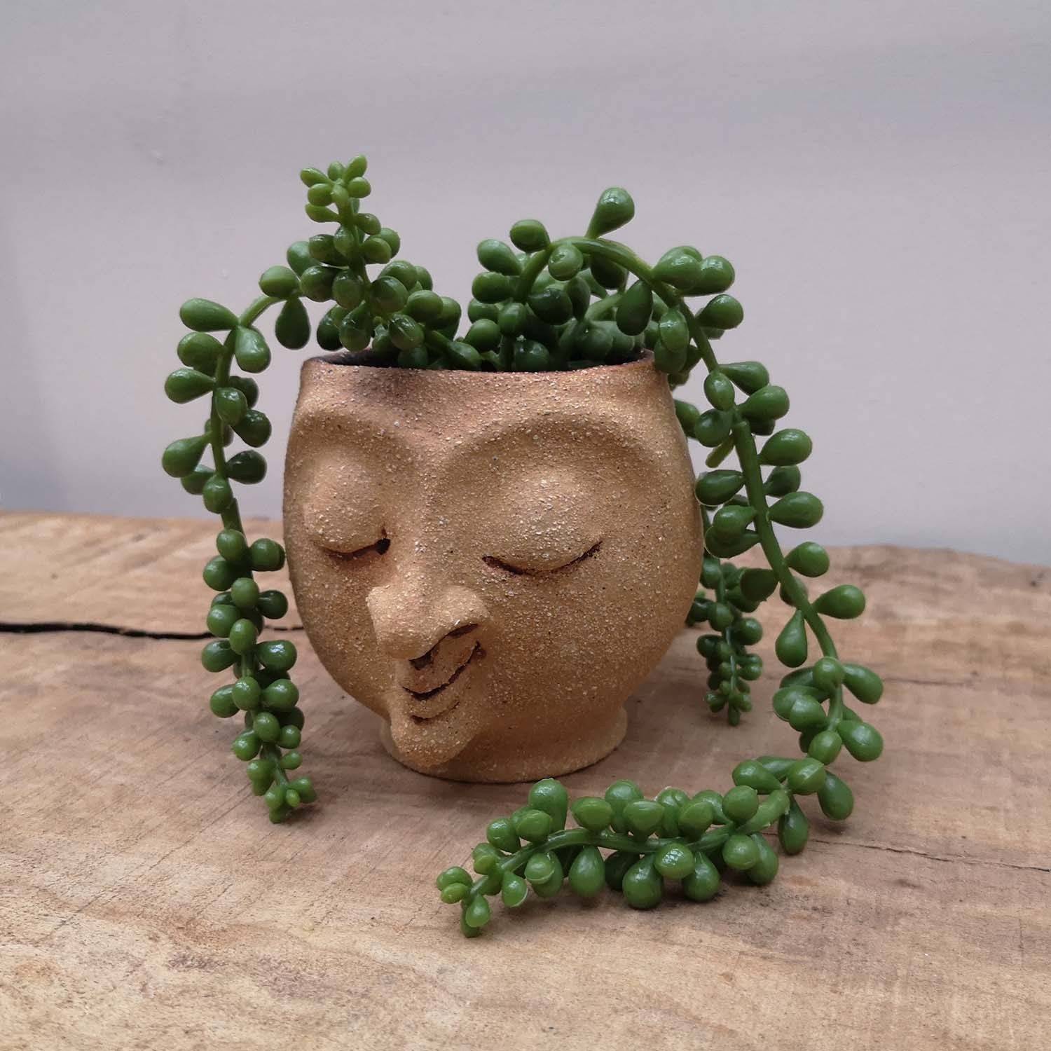 Faceplanter Cute Flower Pot Pot