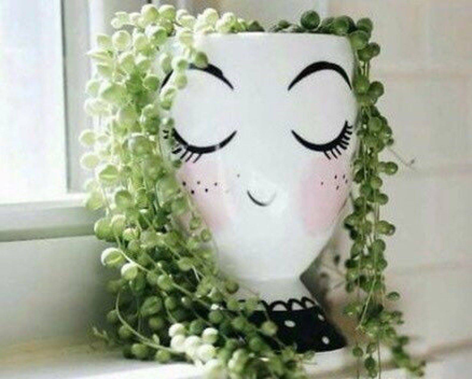 Flower Face Indoor Planter Plant Pot Flower Pot