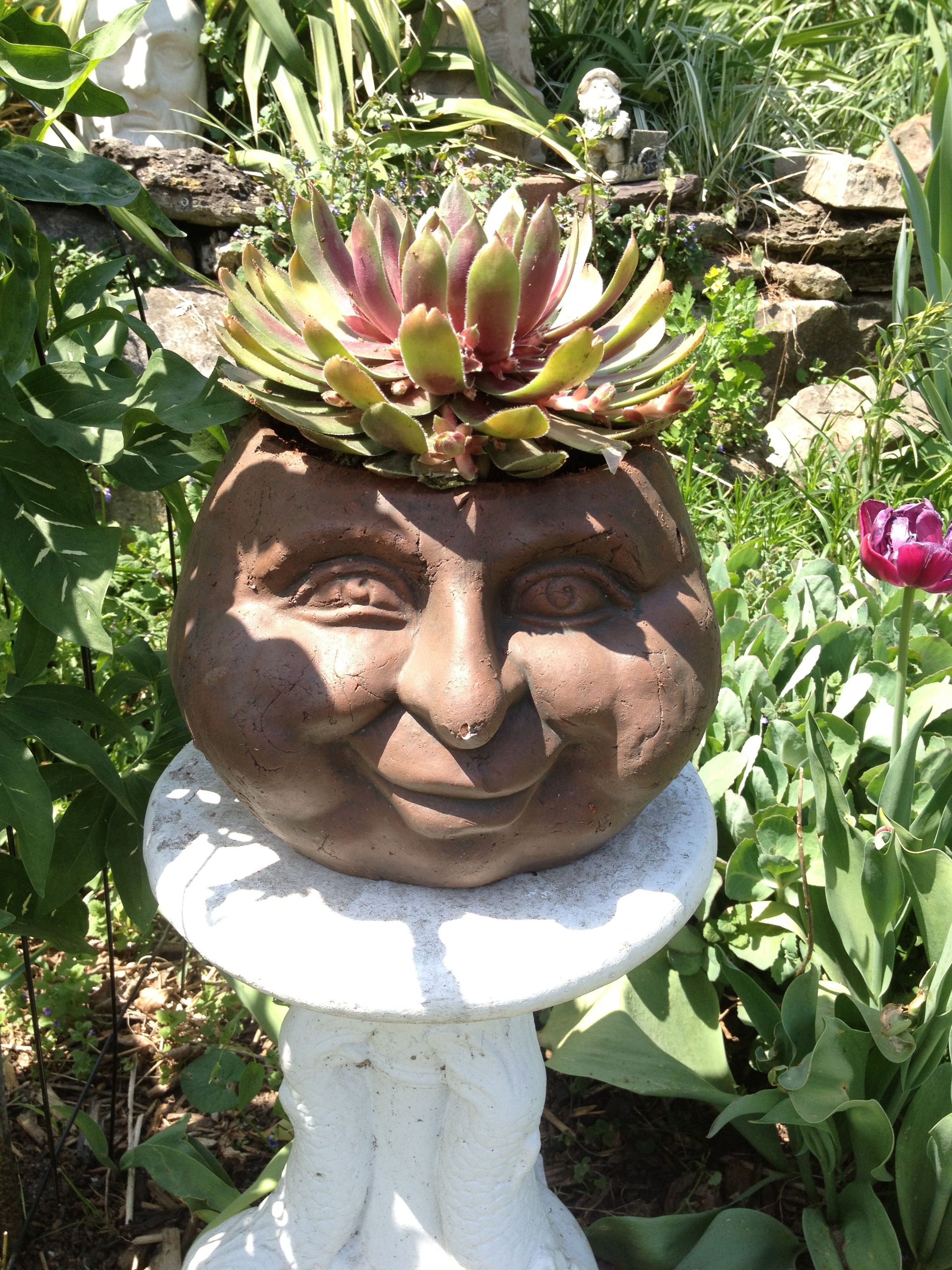 Ceramic Flower Pots